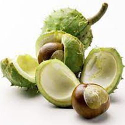 Chestnut peel extract