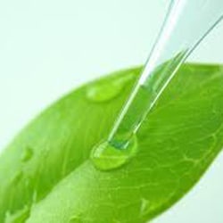 Organic Glycerin