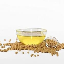 Glyceryl monoester