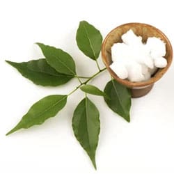 Camphor