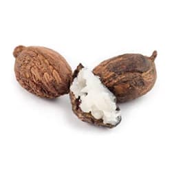 Organic Babassu oil