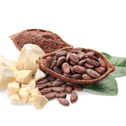 Organic Cocoabutter