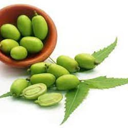 Organic Neem oil