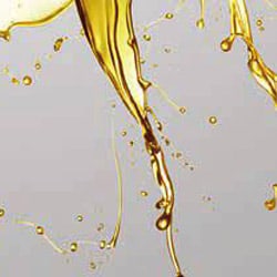 MCT oil
