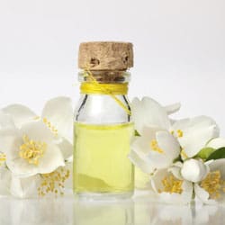 Litsea cubeba oil