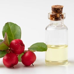 Evergreen oil