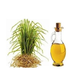 Vetiver oil