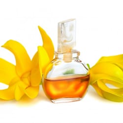 Ylang oil