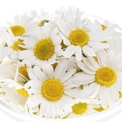 Bio Chamomile water