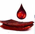 Dragon`s blood extract