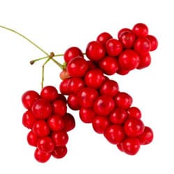 Shizandra extract