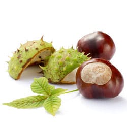 Horse chestnut leaf and seed extract