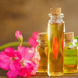 Geranium water