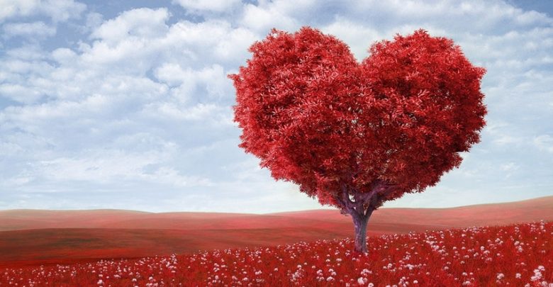 How to surprise your better half for Valentine’s day?